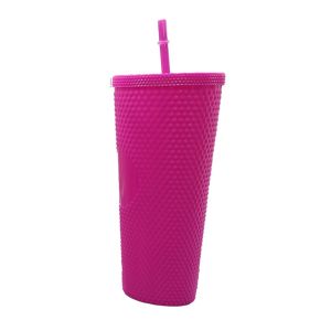 Tumbler Reusable Straw Cup
