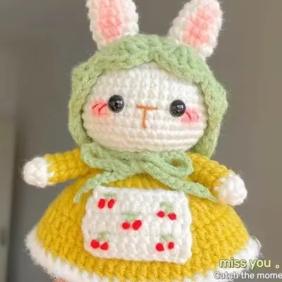 Beginner Crochet Kit with Crochet Hooks Yarn Set DIY Crochet Stuffed Animal Kits