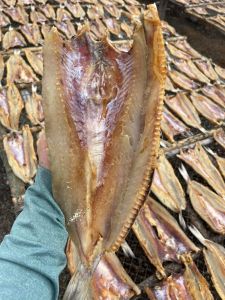 KHÔ CÁ MỐI TRẮNG CON TO - CHIÊN RIM ĐỀU NGON - TÚ VY FOOD