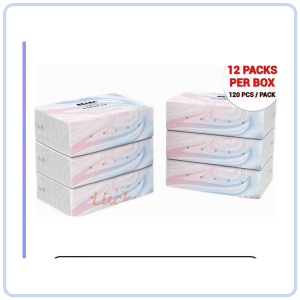 3-Ply Household Tissue Paper 12 Packs per Box 120 Sheets per Pack
