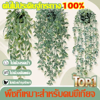 ต้นไม้ประดิษฐ์ พืชปลอม ไม่ต้องดูแลอะไรเลย คุณภาพสูง มีให้เลือกหลากหลายแบบ ตกแต่งบ้าน คุณภาพสูง วัสดุคุณภาพเยี่ยม พวงมาลัย พืชประดิษฐ์สีเขียว ใบเถาพรรคแขวนตกแต่งดอกไม้ปลอม