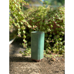 Chậu trồng cây/sen đá/xương rồng/bonsai nhập Trυng hình trụ ☘️