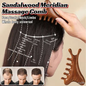 Sandalwood comb head massage comb fourinone