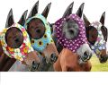 Frienda 4 Pieces Horse Fly Masks for Horses Horse Fly Mask with Ears Face Covering Elasticity Smooth and Comfortable Horse Mask with UV Protection(Large, Geometric). 