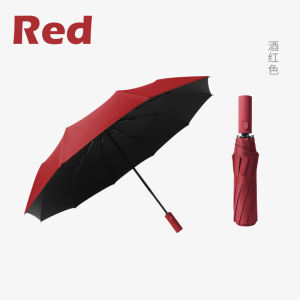 10 Bone Foldable Umbrella Anti UV Automatic Umbrella Foldable 折叠雨伞 Payung Lipat Automatic - UM04