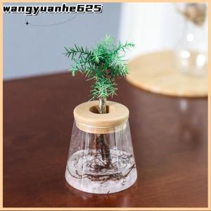 [WYH Store] COD Transparent Flower Pot Hydroponic Automatic Water Absorption Plastic Flower Pot