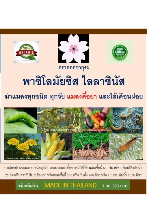 พาซิโลมัยซีส ไลลาซินัส 1กก. ชีวภัณฑ์กำจัดไส้เดือนฝอยและแมลงดื้อยา