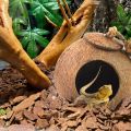 Crested Gecko Coconut Hide Natural Lizard Coco Hut Reptile Hanging Nest Flexible Vine Habitat Decoration Bearded Dragon Terrarium Accessories for Tortoise Chameleon Snake Spider. 