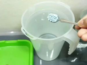 Yara Mila Growth Fertilizer NPK 16:16:16 Baja Mutiara Subur 长之道成长肥珍珠肥