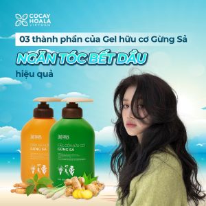 Túi Sữa Tắm Gừng Nghệ 1 Lít Combo Dầu Gội Hữu Cơ Gừng Sả