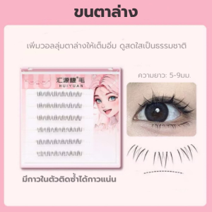 ขนตา ติดขนตาที่บ้าน ขนตาปลอม ขนตาสวย ขนตาหนาคม ขนตาสายฝอ ขนตา5d พร้อมส่งในไทย แถมแหนบ