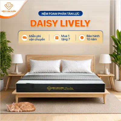 HOẢ TỐC HCM] Nệm Foam Phân Tán Lực Thoáng Khí Daisy Lively Vạn Xuân Duy Trì Độ Đàn Hồi Thông Thoáng Tối Ưu
