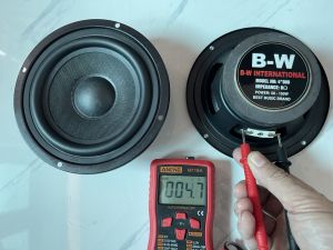Loa rời bass 12 B-W từ 80 coil 19 gân cao su - giá 1 chiếc - Loa bass -Loa bass rời