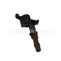 Ignition Coil DG521 FD509 8L3E12A366AA 8L3Z12029A Suitable for Ford. 