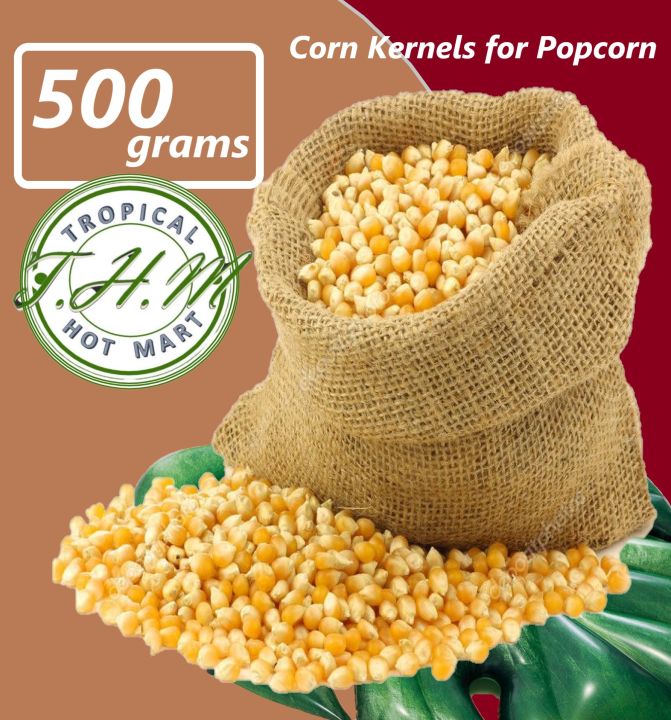 Popcorn Seed 500g Corn Kernels Lazada