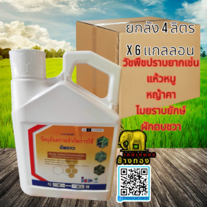 อัพดาว (ขนาด 4ลิตร X 6 แกลลอน)สารกำจัดวัชพืชทั้งใบแคบและใบกว้าง วัชพืชปราบยาก แห้วหมู ออกฤทธิ์ดูดซึม