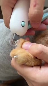 Cat Dog Nail Clipper 2 In 1 Professional Pet Nail Clippers with Adjustable Hole Cutter Pet Claw Trim