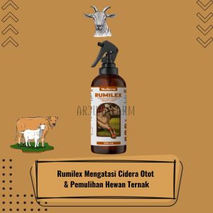 Medicow Rumilex Obat Cidera Otot Pemulihan Cidera Hewan Ternak Sapi Kambing Domba 250ml
