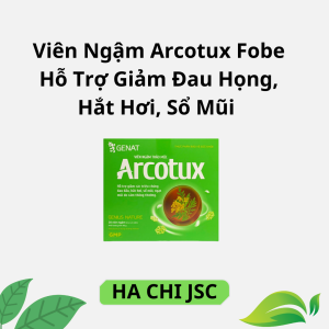 Viên Ngậm Arcotux Fobe Hỗ Trợ Giảm Đau Họng Hắt Hơi Sổ Mũi Do Cảm Thông Thường