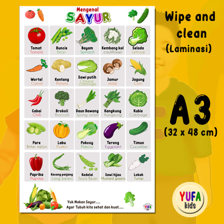 025 Poster sayur - sayuran - Poster Edukasi Anak - Poster belajar anak