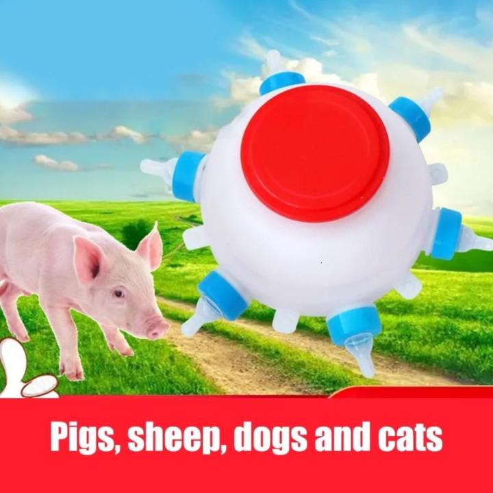 Tr%E1%BB%8Dng%20l%C6%B0%E1%BB%A3ng%20nh%E1%BA%B9%20ch%C4%83n%20nu%C3%B4i%20b%C3%ACnh%20cho%20%C4%83n%20ng%C6%B0%E1%BB%9Di%20s%E1%BB%AD%20d%E1%BB%A5ng%20th%C3%A2n%20thi%E1%BB%87n%20v%E1%BB%9Bi%20d%C3%AA%20b%C3%ACnh%20cho%20%C4%83n%20S%20ch%C4%83n%20nu%C3%B4i%20ph%E1%BB%A5%20ki%E1%BB%87n%20%C4%83n%20-%20Image%206