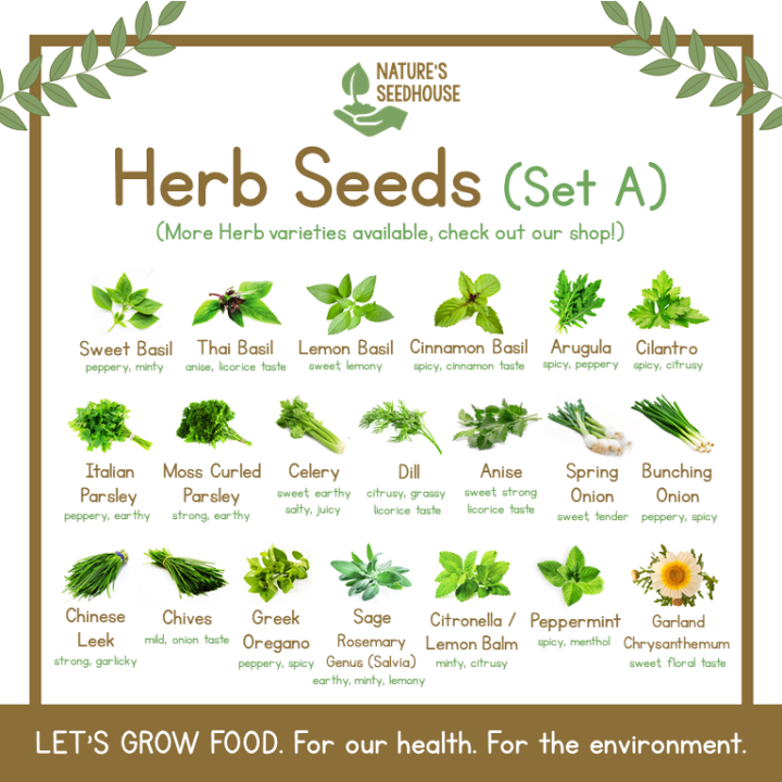 Herb Seeds Collection ⠀—⠀| Herbs Seed | Vegetable Seeds | Plant Seeds ...