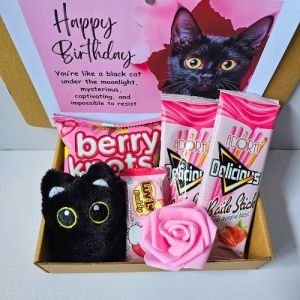 ✨ Black Pink Kitty Cat Treats Snacks Holiday Gift Collectibles Plushie Stuffed Toys Valentines Romance Custom Message