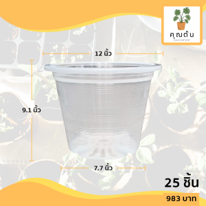 กระถาง กระถางต้นไม้ กระถางพลาสติก เบอร์ 12 นิ้ว สีใส 25 ใบ ชิ้น อัน