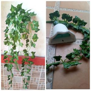 bunga gantung hias daun juntai artificial water melon free gantungan dan pot dinding plastik