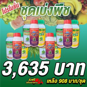 ต้านทานโรคและแมลง สารธรรมชาติกระตุ้นการแบ่งเซลล์ ต้นพืชแข็งแรง กระตุ้นการแตกราก พืชเขียวทน เขียวนาน ชุดเบ่งพืช 4 ชุด  เร่งเปิดตาใบ อัตราการงอกสูง