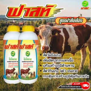 เสริมสร้างภูมิคุ้มกันให้สัตว์ ใช้ได้ดีกับสัตว์ทุกชนิด วัวท้อง วัวเล็ก วัวเด็ก วัวป่วย วัวแม่ลูกอ่อนใช้ได้ ไคโตซานฟาสท์ฝาเหลือง2ขวด สินค้าพร้อมจัดส่ง