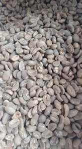 Geen Bean Arabika Gayo Semi Wash