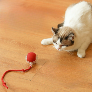 Mainan Bola Kucing Anjing Bola Pintar Listrik USB Rechargeable Interaktif Otomatis LED