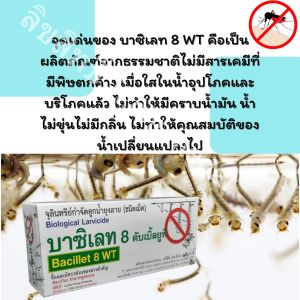 บาซิเลท 8 WT สารจุลินทรีย์ ยากำจัดลูกน้ำ ยาพ่นยุง จุลลินทรีย์กำจัดลูกน้ำ (1แผง / 10 เม็ด)