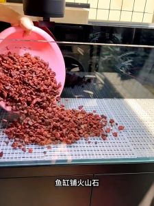 Volcanic Stone 1 to 3 cm Granular Orchid Fleshy Granular Soil Special Potted Aquarium Mixed Soil Nutrient Soil Paving