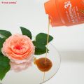 Dầu gội dược liệu Thái Dương 3 Gold Hoa Hồng Đỏ chai 200ml - Sao Thái Dương. 