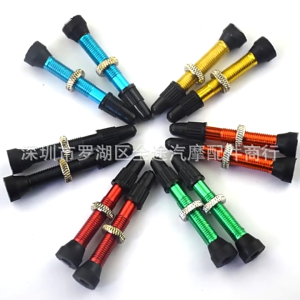 Premium-Copper Inflator Valve Core Bike Valve Nozzle for Bicycle Tires Air Valve Air Nozzle 34mm/40mm/48mm/60mm