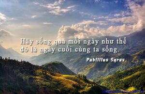 Đồng hồ thời trang nữ dây da mặt vuông NAIDU phong cách Hàn Quốc viền kim loại đẹp Ring House