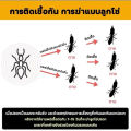 กำจัดมด ปลวก 1ลิตร ตายยกรัง. 