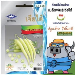 CHIATAI 🇹🇭 ผักซอง เจียไต๋ พริกหนุ่มขาว O115 ประมาณ 90 เมล็ด พริก เมล็ดพันธุ์ เมล็ดพันธุ์ผัก ผักสวนครัว ผักเจียไต๋ ตราเครื่องบิน