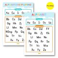 VOWELS CONSONANTS PATINIG KATINIG EDUCATIONAL LAMINATED CHARTS A4 SIZE POSTERS. 