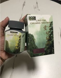 fLingzhi Chuang Yao Wan(Bottle)