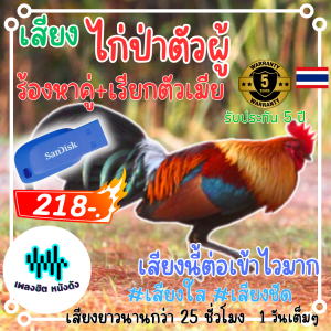 ส่งด่วน USB ยี่ห้อ Apacer เสียงไก่ป่าตัวผู้เรียกตัวเมีย เสียงนี้เข้าไวมาก เสียงชัด เสียงยาว25ชม.