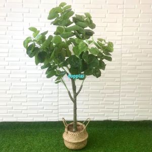 Pohon Artificial Tanaman Hias Daun Mangkokan X4 T140 Semi Latex Cover Pot Anyaman Purun Belly Dekorasi Studio Aesthetic