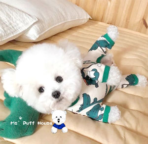 เสื้อยืดสัตว์เลี้ยง ลายจระเข้ แบบสี่ขา/ เสื้อสุนัข บางสบาย เสื้อหมา เสื้อแมว ลายน่ารัก ใส่วันสบายๆได/