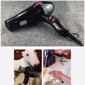 宠物店狗狗吹风机吹拉毛神器速干一体洗澡专用大功率大型犬宠物狗Kedai haiwan peliharaan pengering rambut anjing meniup dan menarik artifak cepat pengeringan bersepadu mandi khas anjing peliharaan anjing besar berkuasa tinggi khas