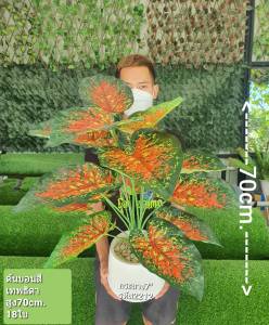 ส่งเร็ว ต้นไม้เสมือนจริงในกระถางโมเดิร์น มีหลายชนิด และ มีหลายขนาดให้เลือกค่ะ