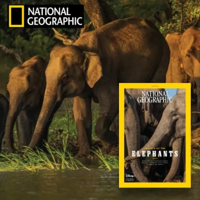 National Geographic 2023 Science & Nature Magazine Collection - Climate Crisis Edition