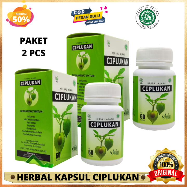 Paket 2 Pcs Kapsul Ciplukan Inayah 60 Kapsul Ekstrak Herbal Kesehatan Lazada Indonesia 8987