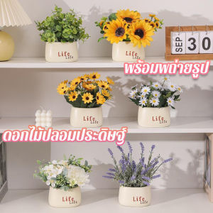 【LonlyDance】ดอกไม้ปลอม ดอกไม้ประดิษฐ์ บอนไซ ดอกทานตะวัน ลาเวนเดอร์ ดอกเบญจมาศ พร้อพถ่ายรูป ของตกแต่งบ้าน